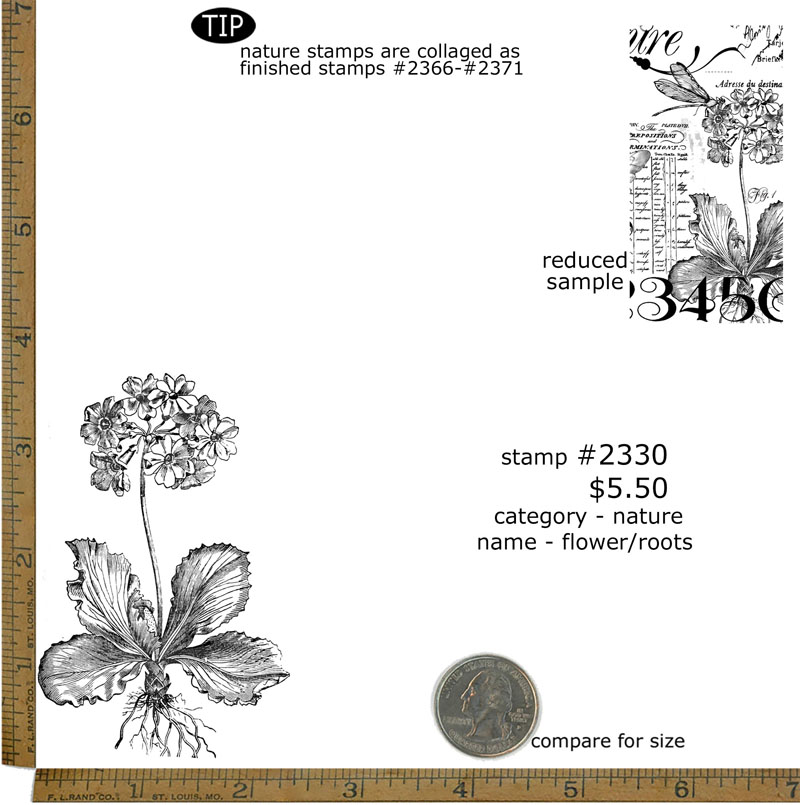 #2330 - Flower Roots - Nature